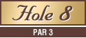 hole08_par3